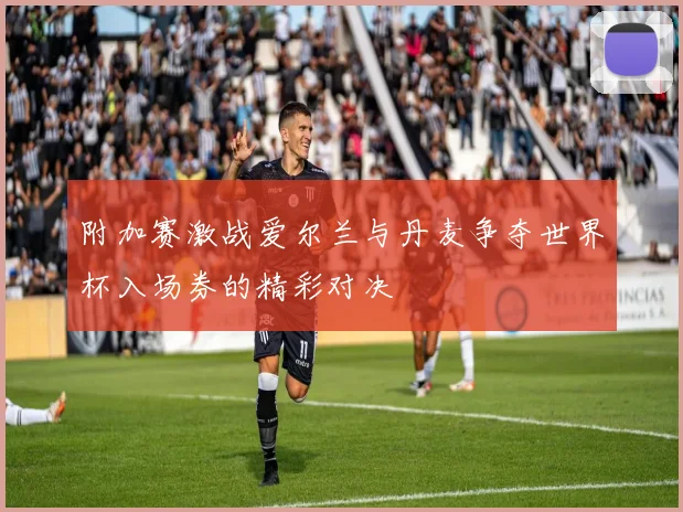 附加赛激战爱尔兰与丹麦争夺世界杯入场券的精彩对决