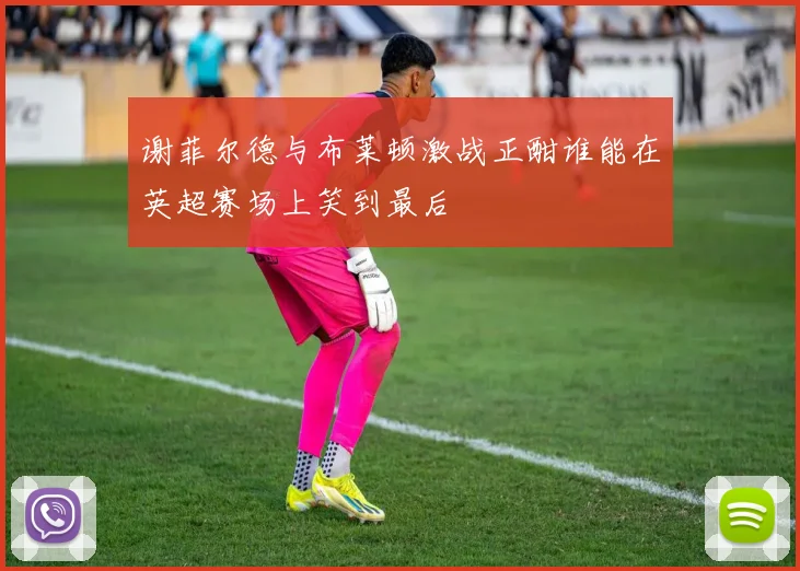 谢菲尔德与布莱顿激战正酣谁能在英超赛场上笑到最后