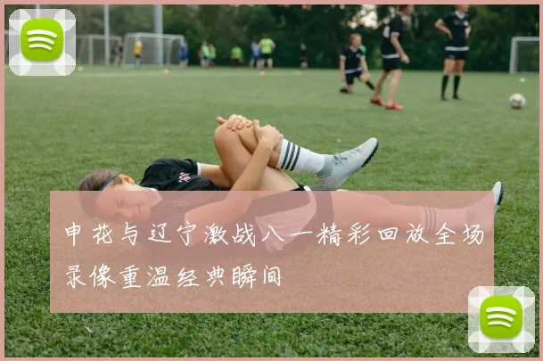 申花与辽宁激战八一精彩回放全场录像重温经典瞬间