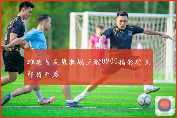 雄鹿与灰熊激战正酣0900精彩对决即将开启