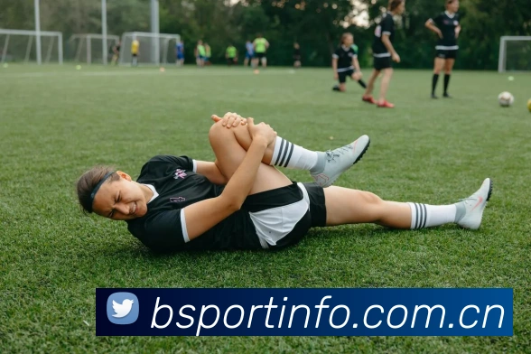 Bsports平台生态图